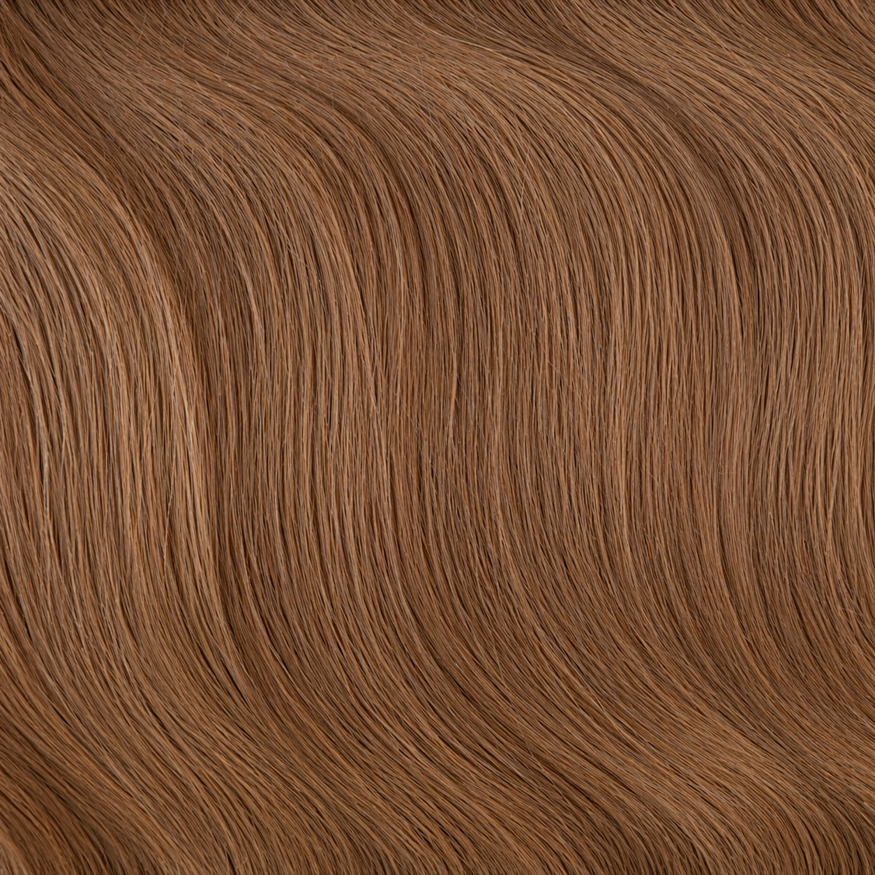 GENIUS WEFT #BIONDO