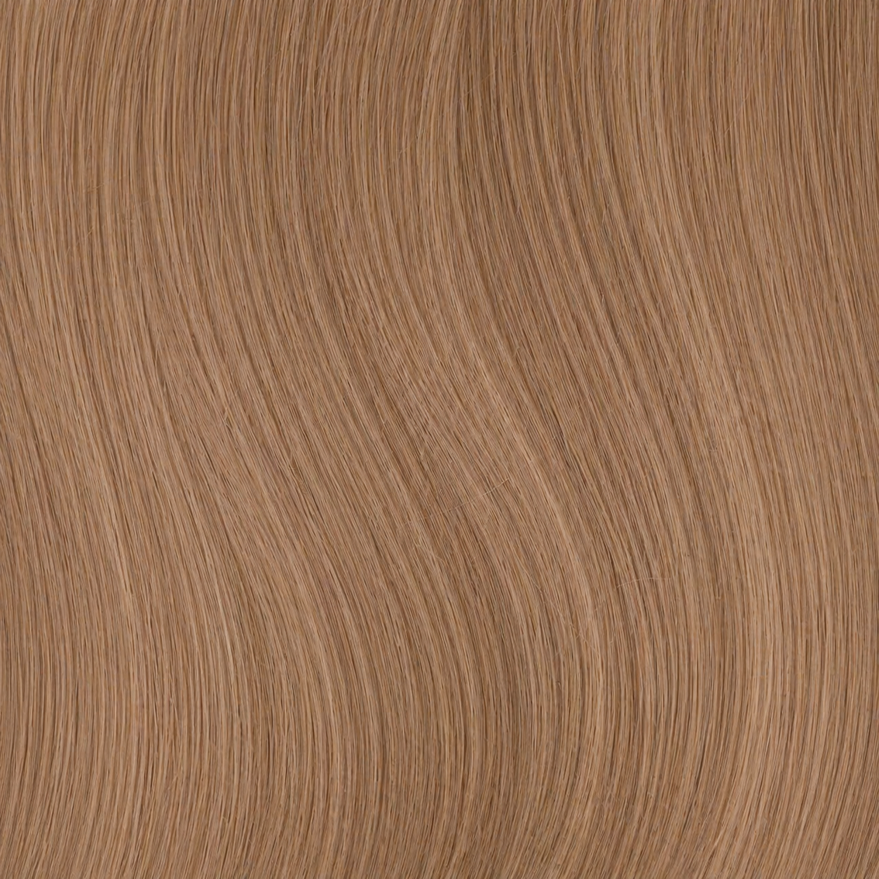 GENIUS WEFT #NEBBIA