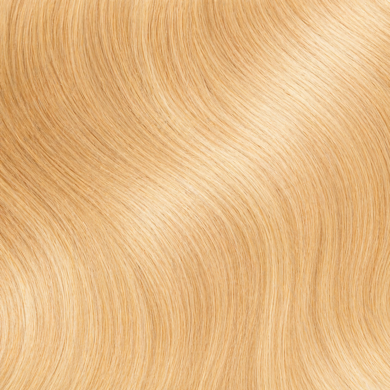 GENIUS WEFT #SOLE